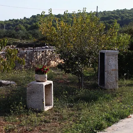 With A Parking Space Gornje Selo, Solta - 5170 בית הארחה 2*